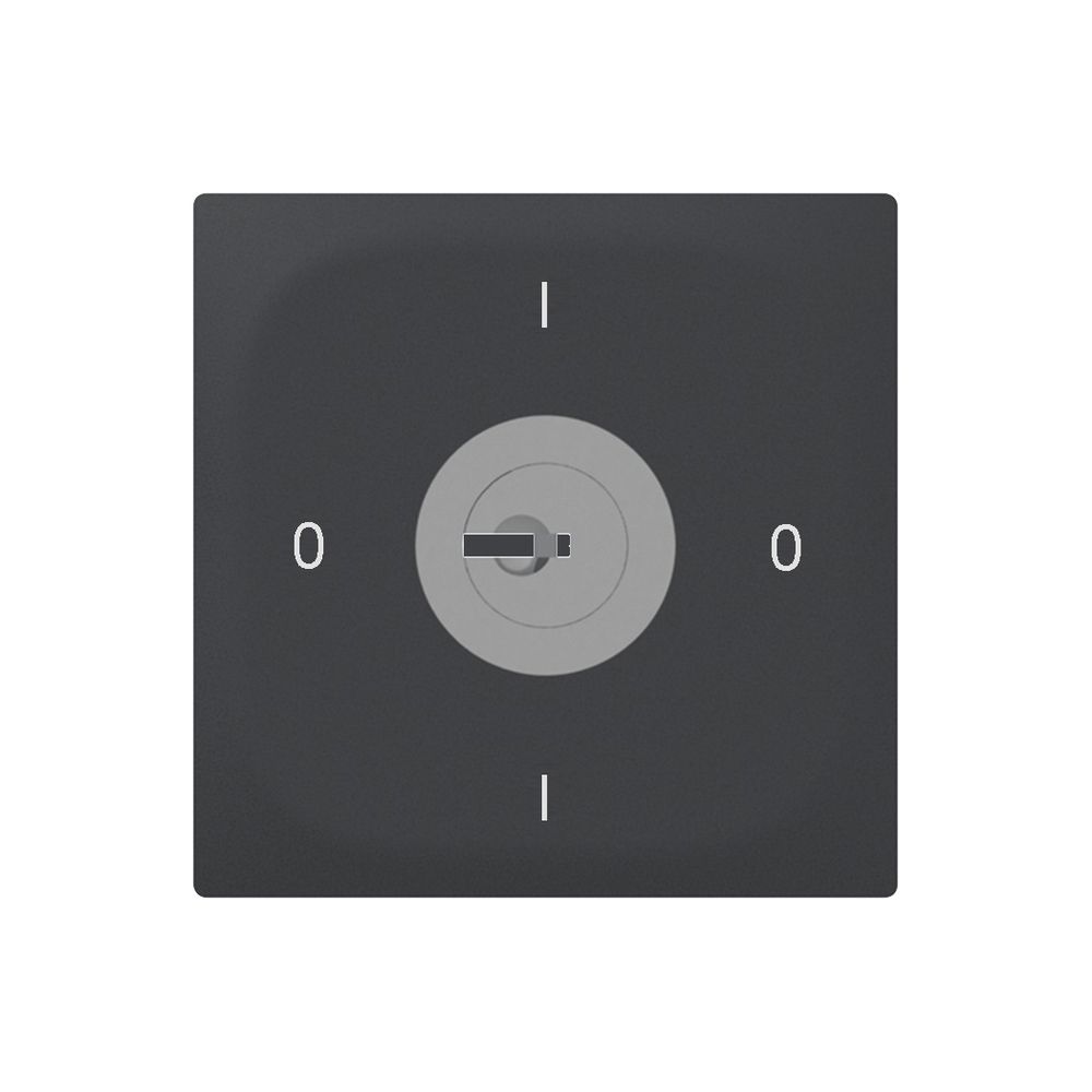 Interruttore rotativo INC SIDUS E 0/2L SS antracite