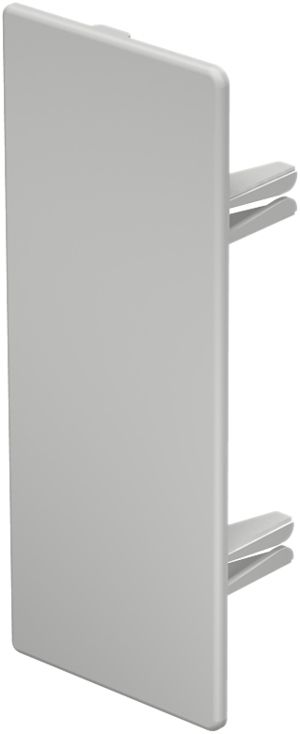 Plaque de fermeture Bettermann pour canal d'installation WDK gris clair 60×150mm