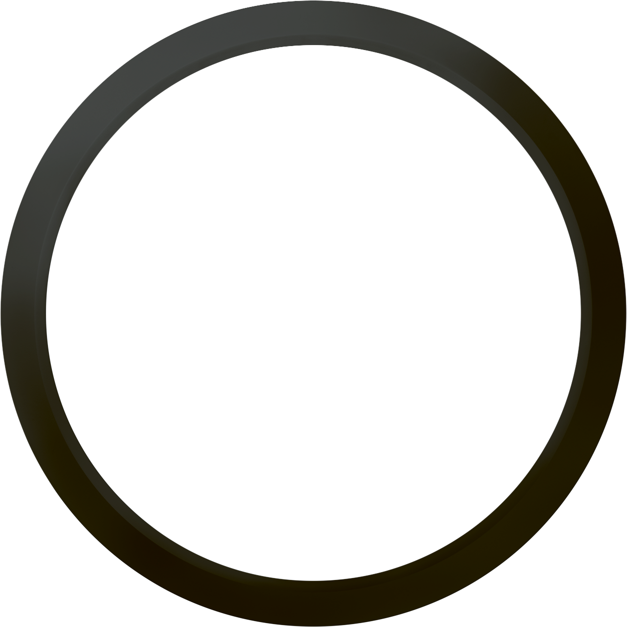 Bague frontale pour Lara Ø300mm noir