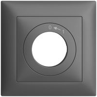 Frontset EDIZIOdue 0<-1 dunkelgrau 88×88mm für Schwenktaster