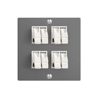 Presa audio EDIZIOdue F 4×grigio scuro morsetto per 4 altoparlante