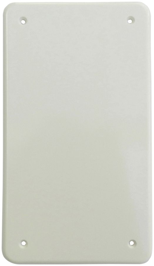 Plaque de recouvrement 2×II 4trous de fixation blanc