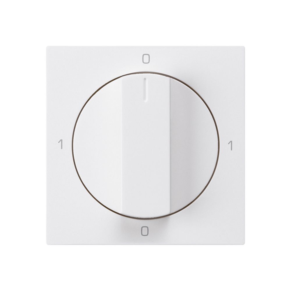 Einsatz zu Drehschalter kallysto 0/2L weiss mit Drehgriff