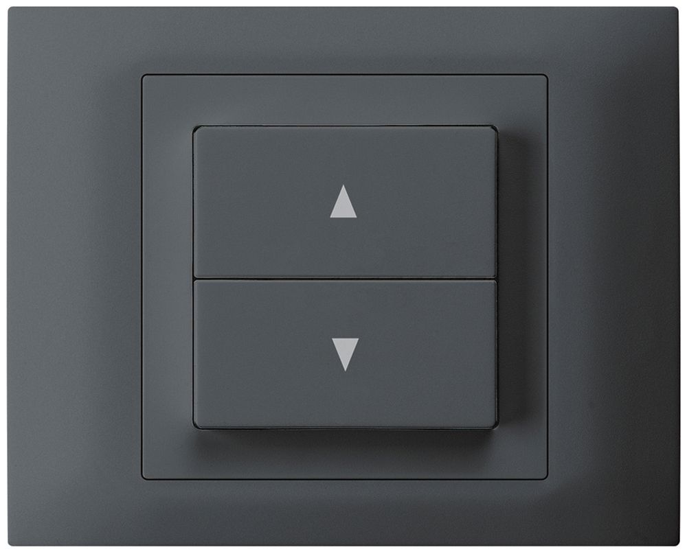 EB-Storentaster kallysto anthrazit