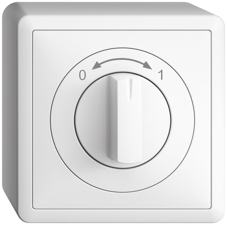 AP-Schwenktaster 0<->1 EDIZIOdue weiss mit Drehgriff