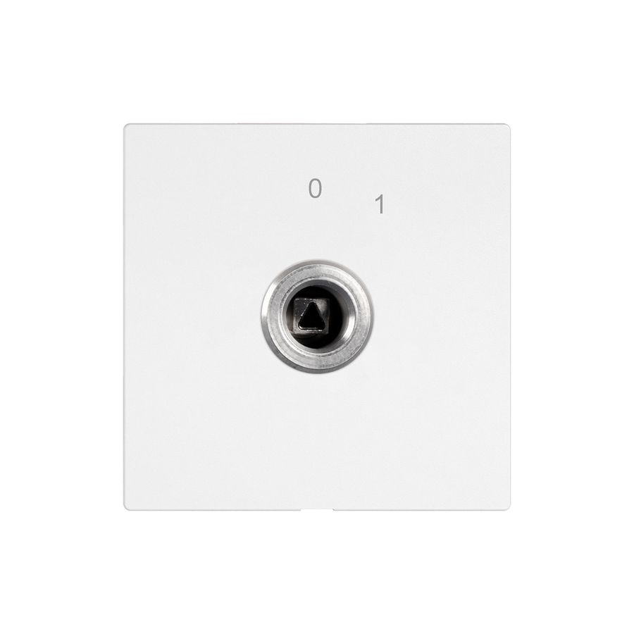 Interruttore a chiave EDIZIO.liv 1P quadra./triang.20A 690V 0-1 bi