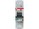 Leitungsschutzschalter ABB S801P-C125 1P 230V C-125A 50kA 1.5TE