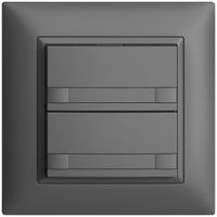 Poussoir ENC KNX 2× EDIZIOdue colore gris foncé RGB sans LED avec insert papier