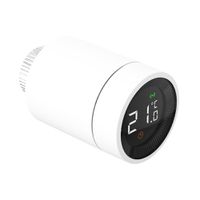 Thermostat intelligent pour radiateur KnockautX, par BRELAG