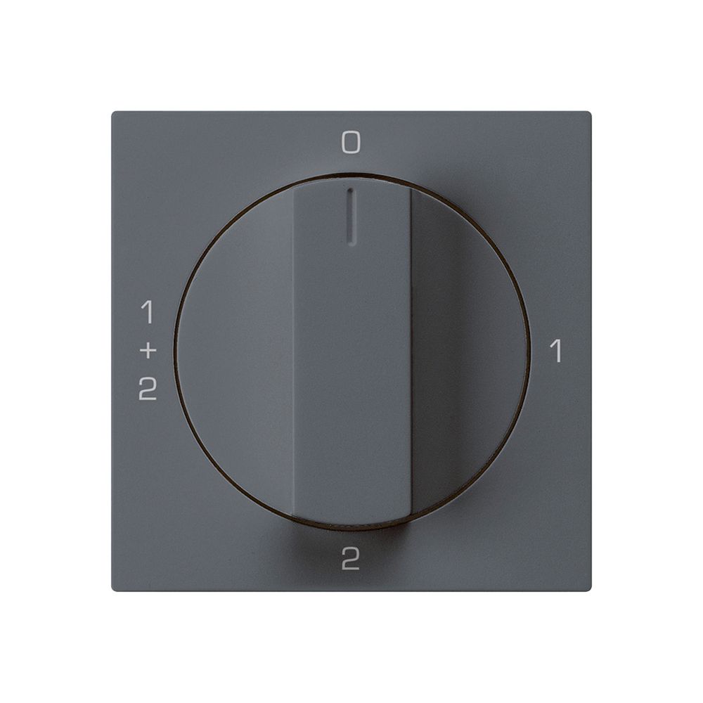 Einsatz zu Drehschalter kallysto 1/1L anthrazit mit Drehgriff