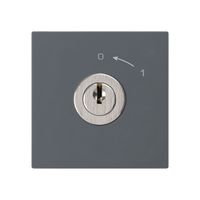 Schwenktaster 0<-1/2L anthrazit kallysto mit Schloss Kaba 8