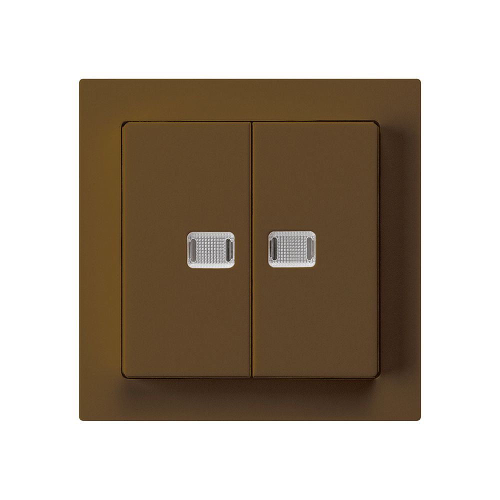 Leuchttaster kallysto 2×A-R/1P braun mit 2 Linsen