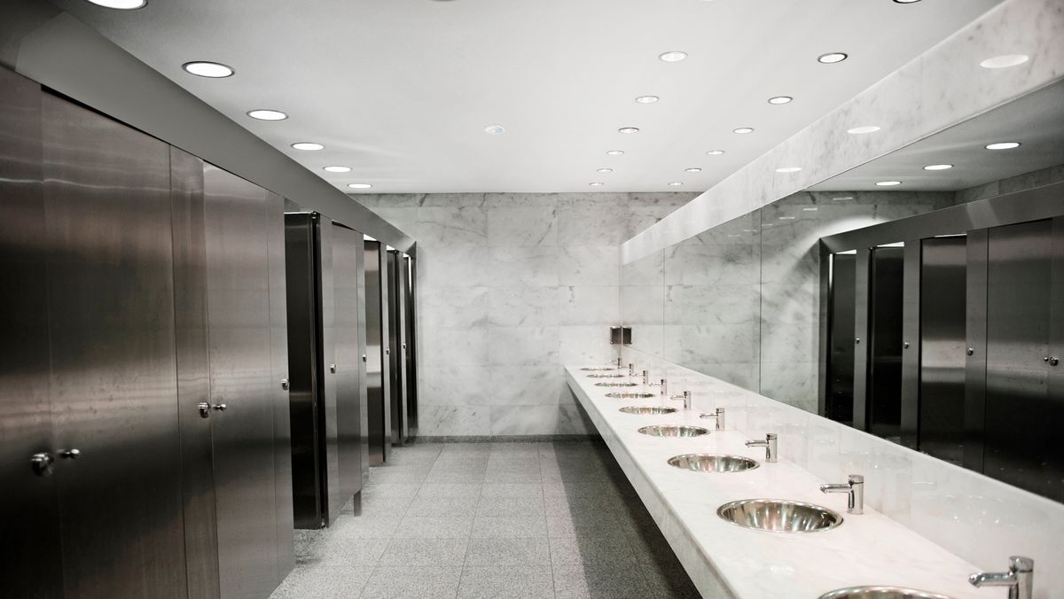 Détecteur de présence AP Steinel HF 360-2 DALI-2 APC 360° mat.synthét. blanc