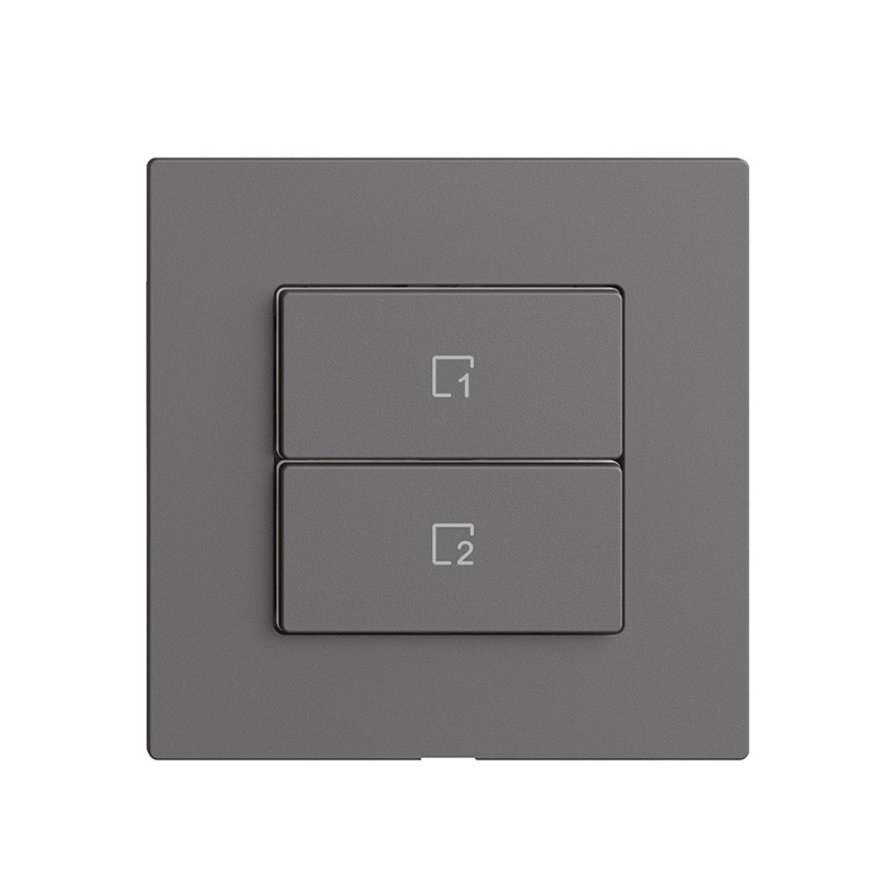 Commande pour poussoir scène 2 scènes vert./2T Edue Wiser gris foncé