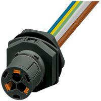 Wanddurchführung PX IPD WD Feldstecker 3P 16A 450V M25 sz IP66 0.5m