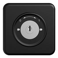 UP-Schwenktaster 0<->1 STANDARDdue schwarz mit Sicherheitsschloss