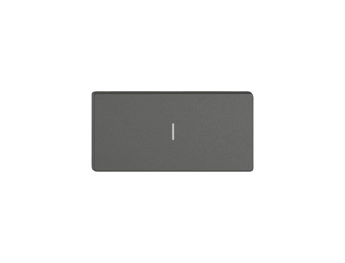 Taste 1/2 EDIZIO.liv Wiser mit SNAPFIX® vert.mit Symbol l (Ein) dgu