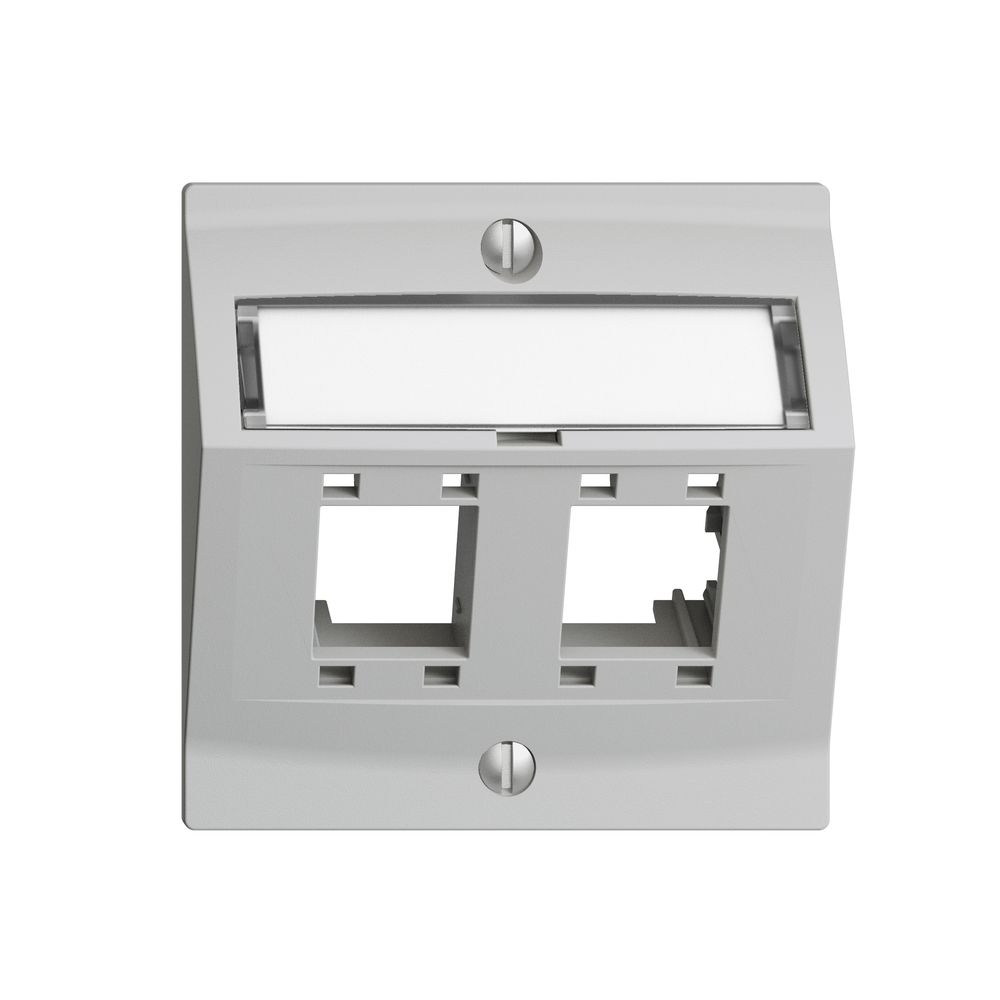 Montageset EDIZIOdue, mit Schrägauslasshaube, für 2×RJ45, hellgrau