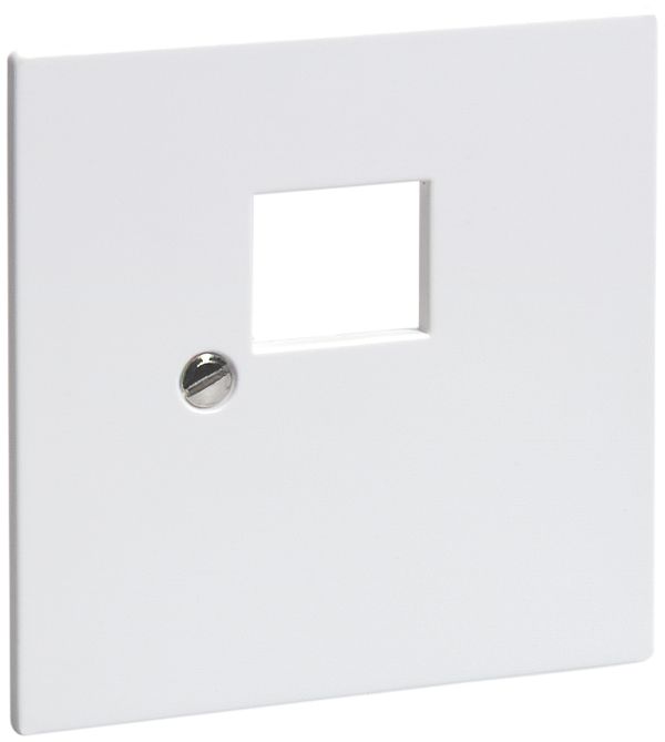 Frontplatte R&M 2RJ45