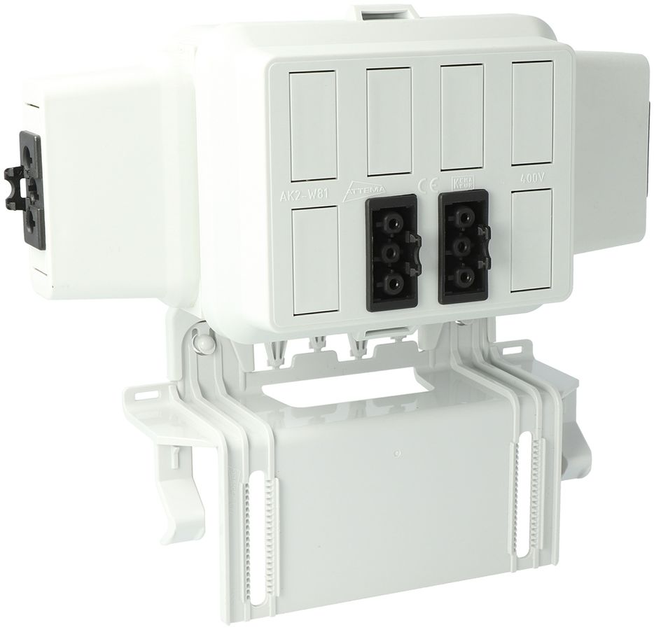 Boîtier AGRO, in: 3P no, out: 2×3P no L1, Wieland