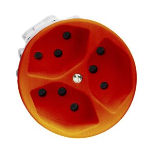 UP-Steckdose FH 3×T13 orange