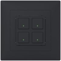 UP-Frontset B ABB SIDUS anthrazit zu Sensor 2×free@home