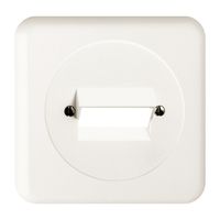 UP-Frontset FH 2×RJ45 weiss ITplus