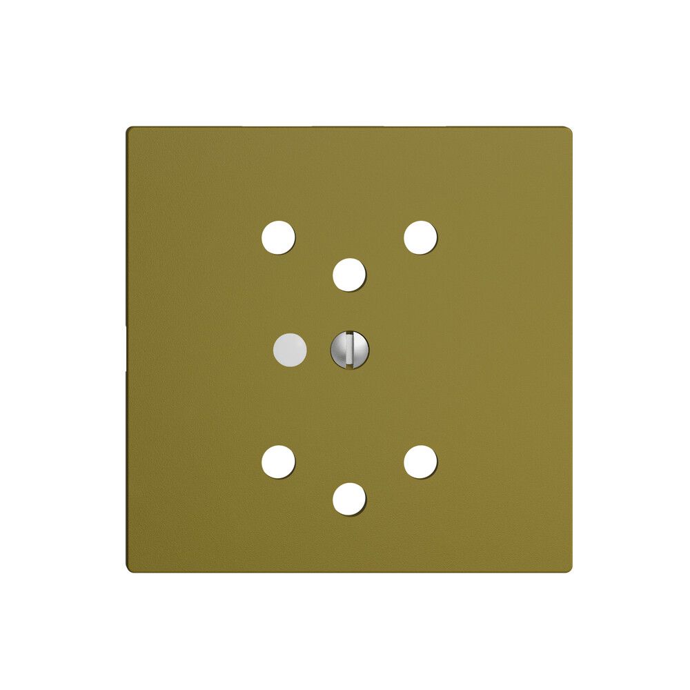 Frontset EDIZIOdue olive 60×60mm 2×T12 mit Linse