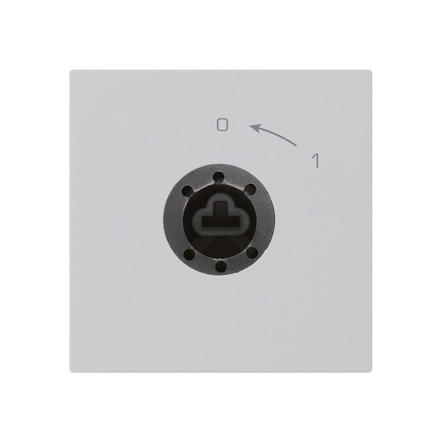 Contact pivotant 0<-1/2L gris clair kallysto pour serrure sans cylindre