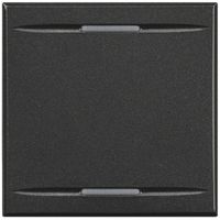 Wippe Axolute für 2 Module anthrazit ohne Symbol