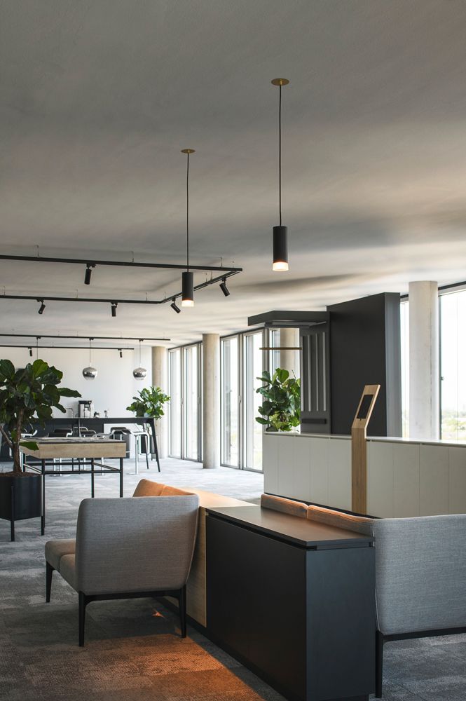 EB-Deckenrosette SLV FITU 3-polig Ø85mm gold