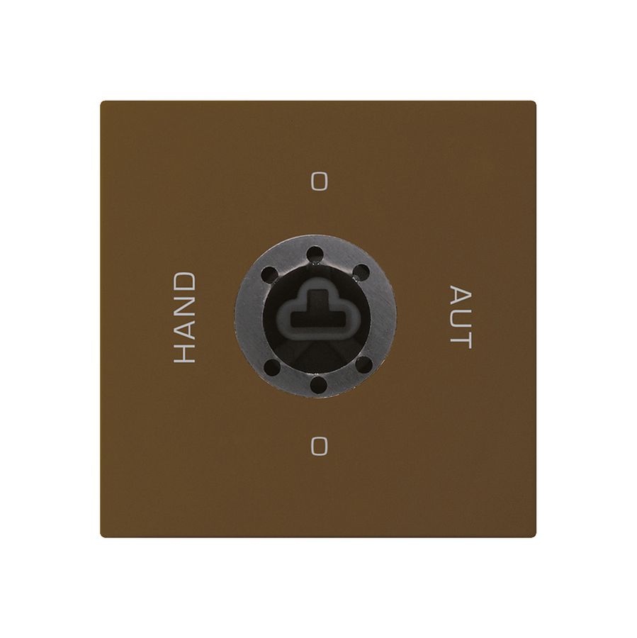 Intérieur interrupteur à clé 0-Hand-0-Aut. brun kallysto 2/1P pour serrure