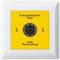 Interruttore a chiave INS kallysto.line per estrattore fumi tedesco bianco