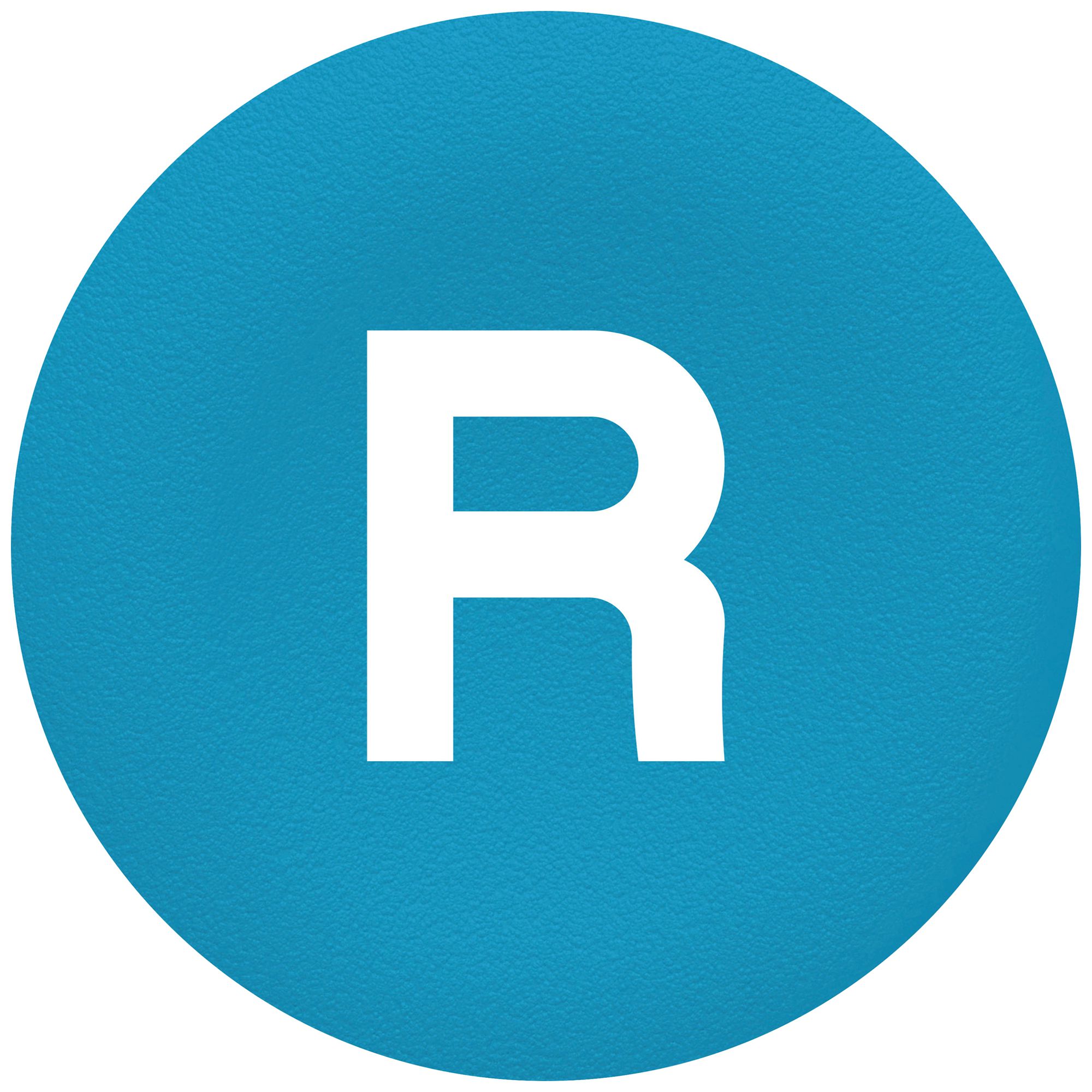 Bezeichnungsschild Harmony XB4 bl flach Ø22mm