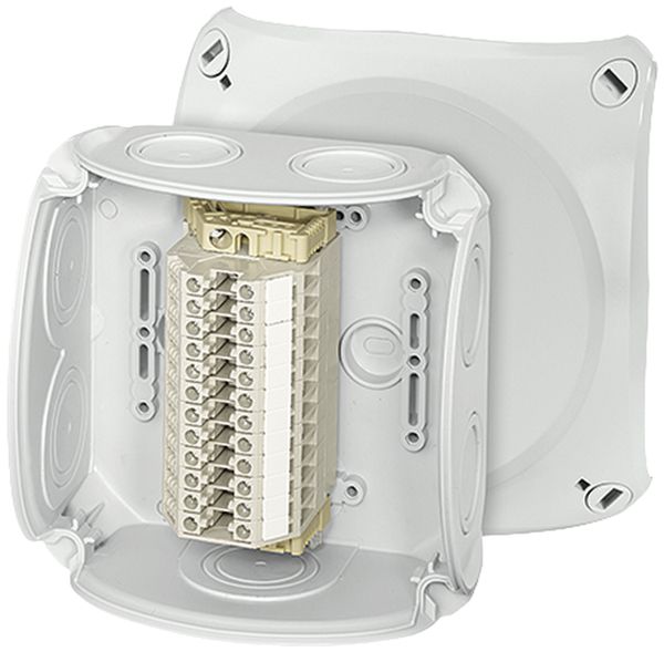 AP-Abzweigdose Hensel RK 0612 12×6mm², grau