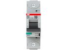 Leitungsschutzschalter ABB S801P-C100 1P 230V C-100A 50kA 1.5TE