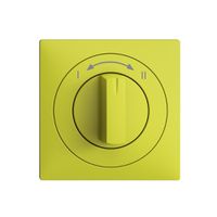 Frontset EDIZIOdue I<->II lemon 60×60mm für Schwenktaster