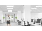 EB-Präsenzmelder Set ESYLUX BASIC PD 360° 08 IR 1C FM, 10 Stück