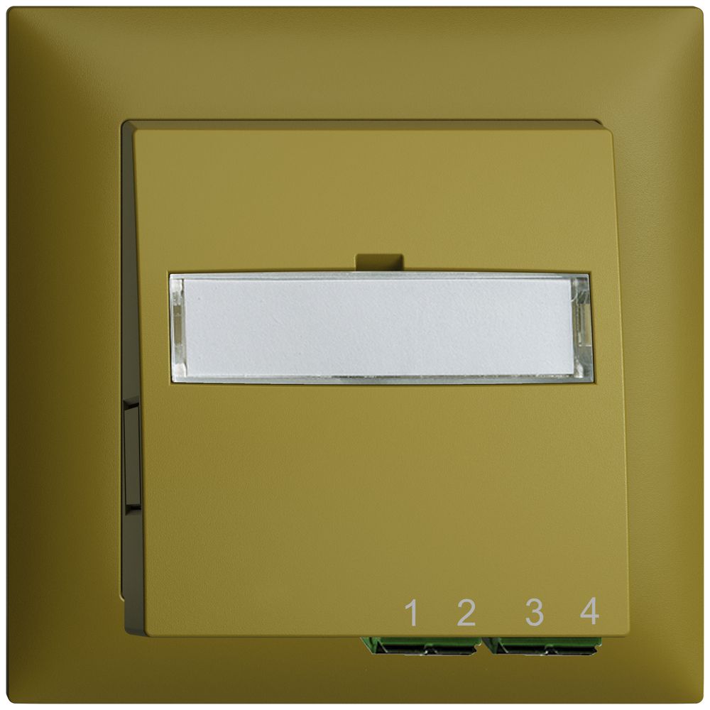 UP-Anschlussdose FTTH EDIZIOdue FH 2×LC APC Duplex FMI olive