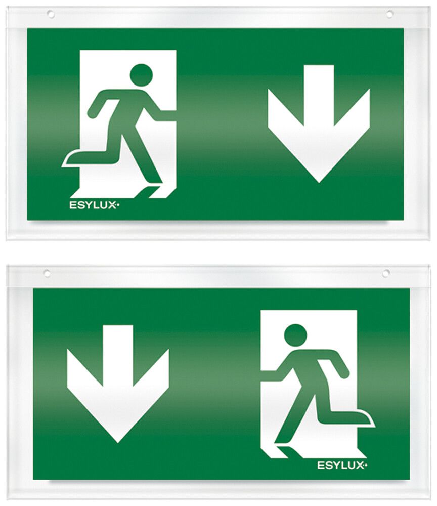 Plaque avec pictogramme ESYLUX pour SLX recto/verso flèche vers le bas/bas