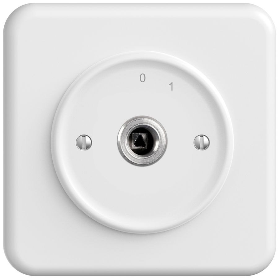 Interruttore a chiave INC STANDARDdue 1P quadra./triang.20A 690V 0-1 bi