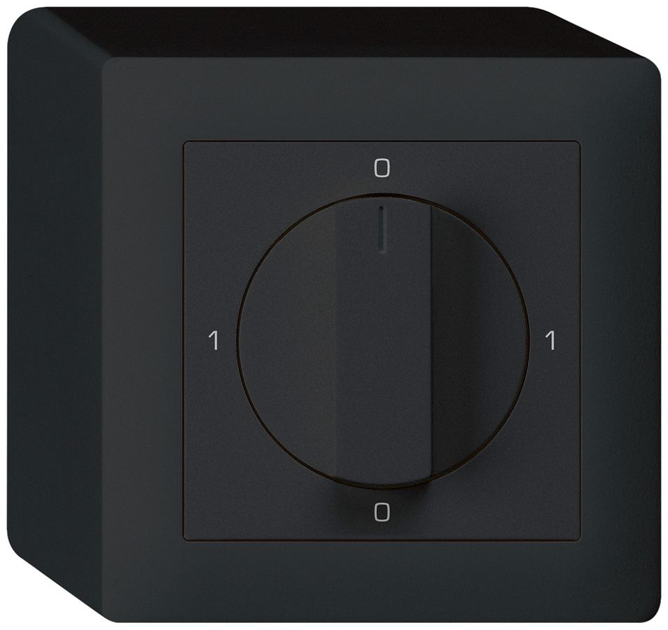 AP-Drehschalter kallysto 0/2L schwarz mit Drehgriff