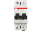 Disgiuntore SMISSLINE CLASSIC 2×63 D 10kA
