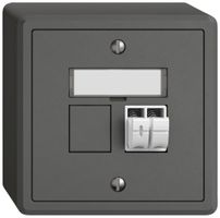 Presa audio AP EDIZIO.liv SNAPFIX® 1× grs