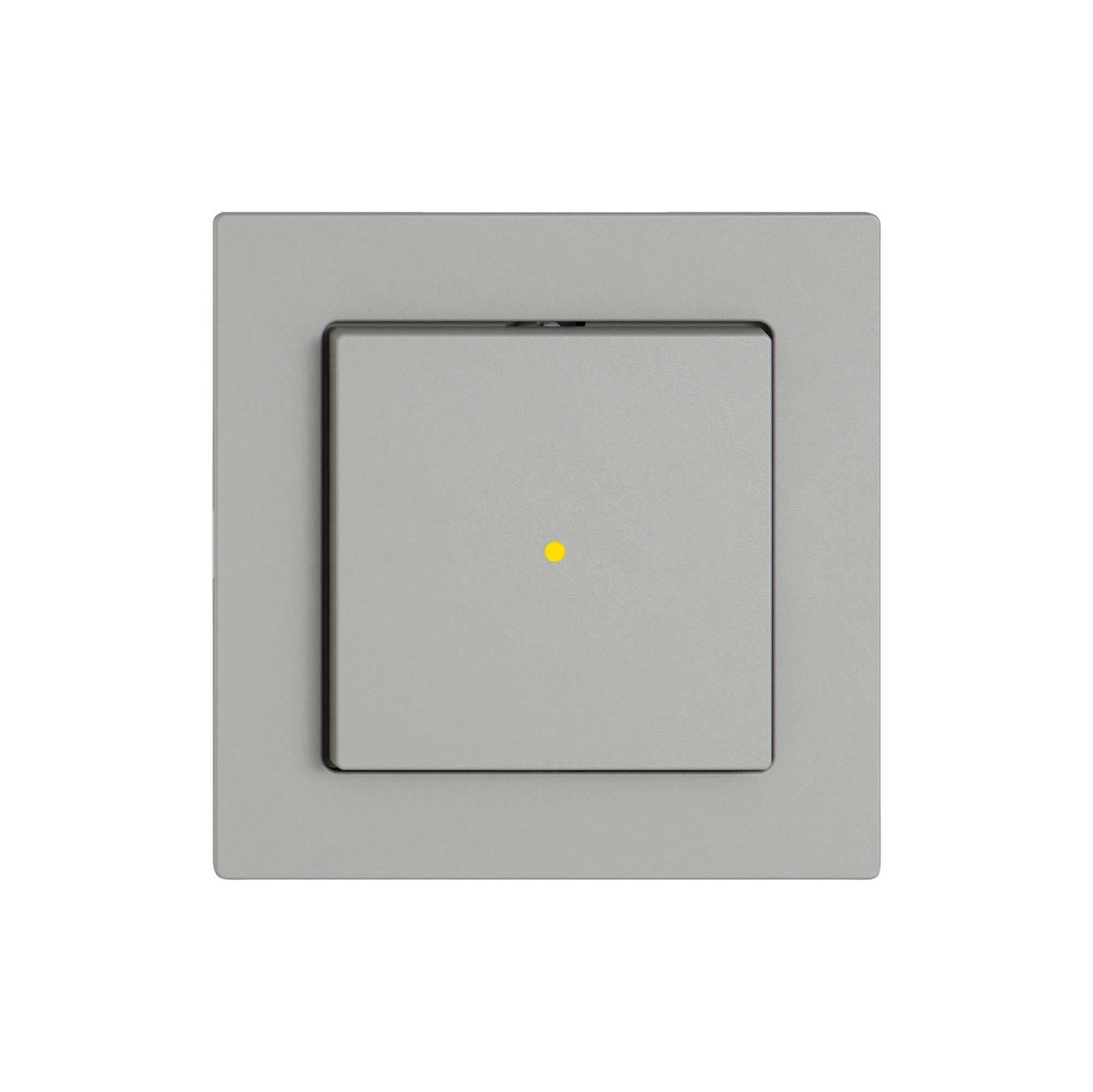 Interruttore a pulsante luminoso EDIZIO.liv SNAPFIX® 3/1L lent.front.KS gi grc