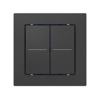 Tastsensor ABB Sidus KNX Basic Typ-E, 2/4, anthrazit