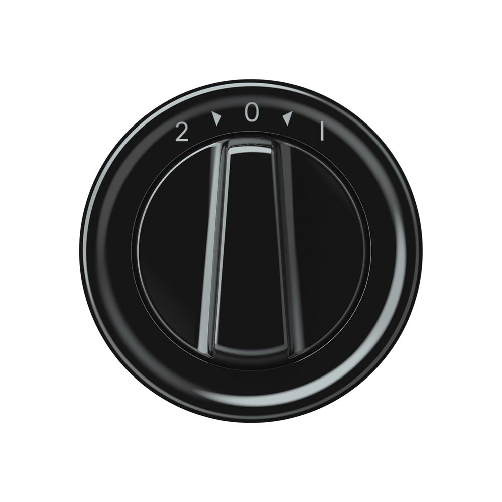 Schwenktaster origin 1P 0<1 10A 230V 60×60mm schwarz