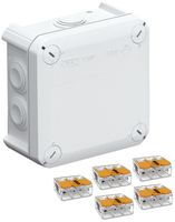 Abzweigdose Cellpack Universal Box CG T60 mit WAGO 5×221-613