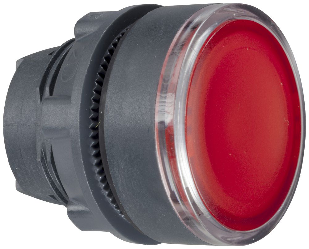 Taster Schneider Electric flach rot