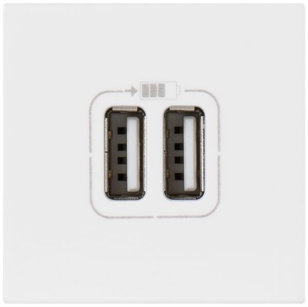 USB-Ladesteckdose MOS 2 Module, 1-fach weiss